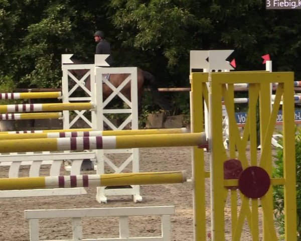 Reitturnier Marienheide - Kempershöher Reitertage 2017