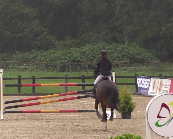 Reitturnier Hemer-Oese an der Edelburg 2017