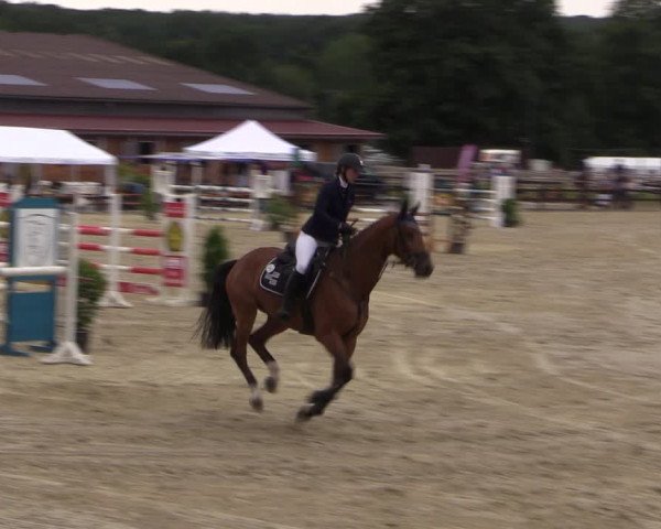 Reitturnier Hemer-Oese an der Edelburg 2017
