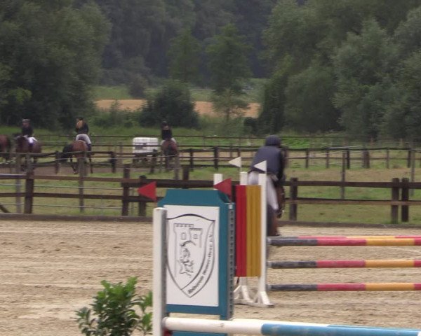 Reitturnier Hemer-Oese an der Edelburg 2017