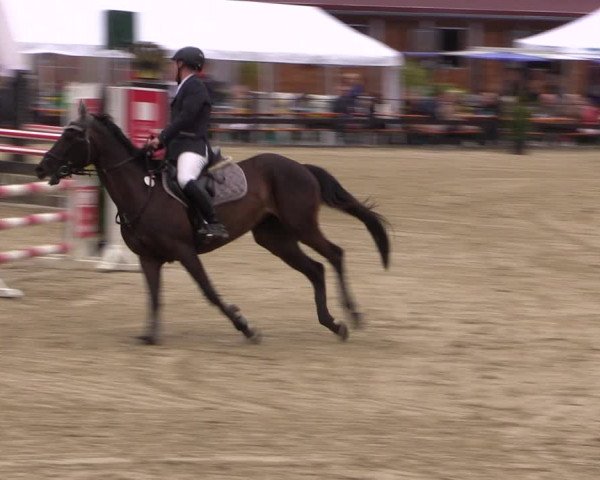 Reitturnier Hemer-Oese an der Edelburg 2017