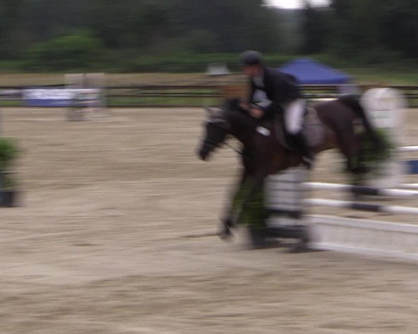 Reitturnier Hemer-Oese an der Edelburg 2017