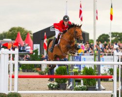 jumper Calimero (Nederlands Rijpaarden en Pony, 2005, from Berlin)