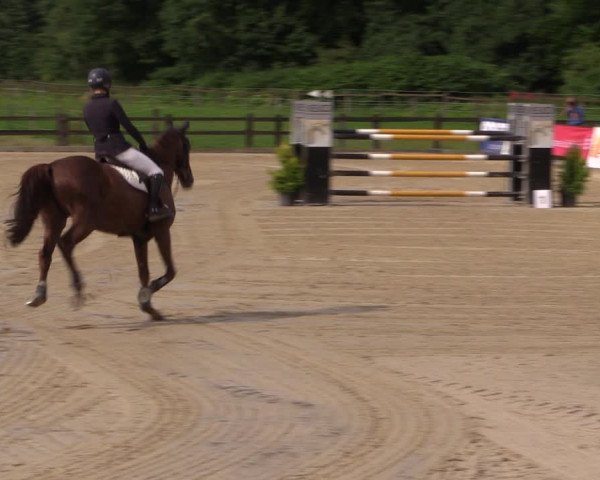Reitturnier Hemer-Oese an der Edelburg 2017