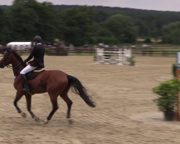 Reitturnier Hemer-Oese an der Edelburg 2017