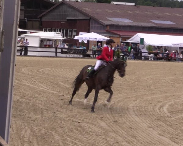 Reitturnier Hemer-Oese an der Edelburg 2017