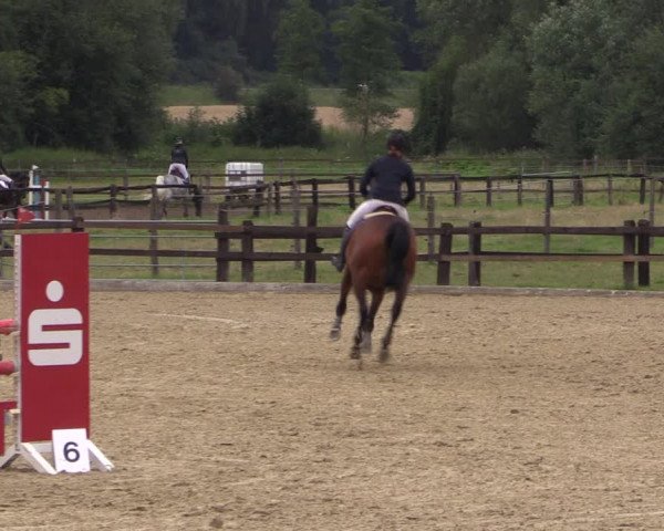 Reitturnier Hemer-Oese an der Edelburg 2017