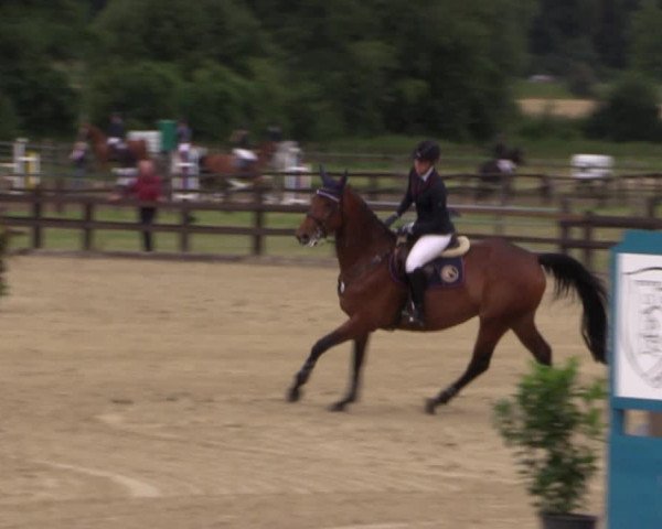 Reitturnier Hemer-Oese an der Edelburg 2017