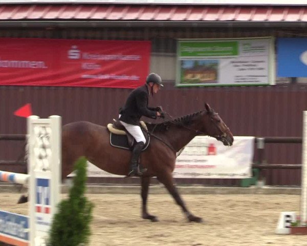 Reitturnier Marienheide - Kempershöher Reitertage 2017