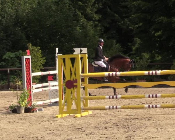 Reitturnier Marienheide - Kempershöher Reitertage 2017