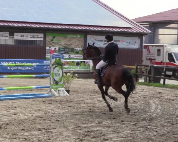 Reitturnier Marienheide - Kempershöher Reitertage 2017