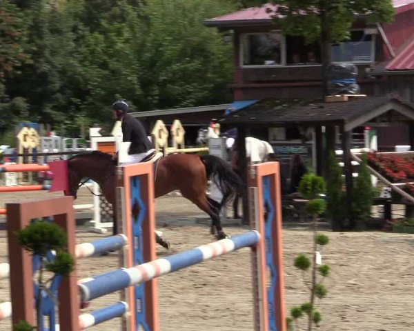 Reitturnier Marienheide - Kempershöher Reitertage 2017