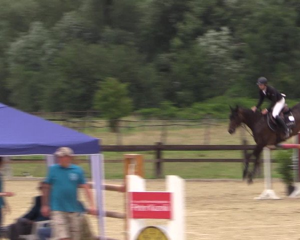 Reitturnier Hemer-Oese an der Edelburg 2017