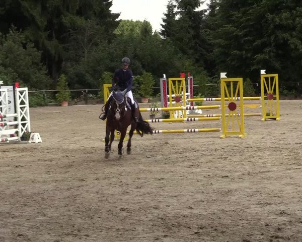 Reitturnier Marienheide - Kempershöher Reitertage 2017