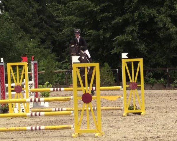 Reitturnier Marienheide - Kempershöher Reitertage 2017