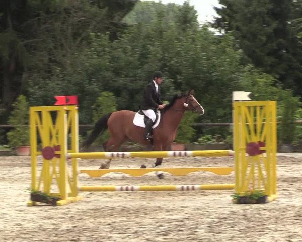 Reitturnier Marienheide - Kempershöher Reitertage 2017