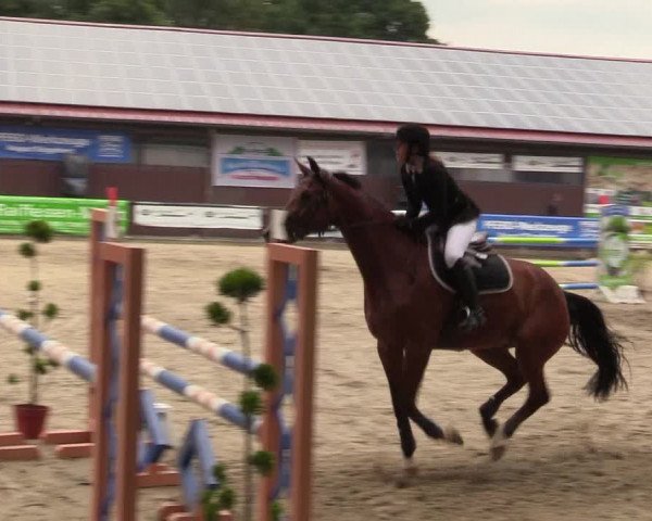 Reitturnier Marienheide - Kempershöher Reitertage 2017
