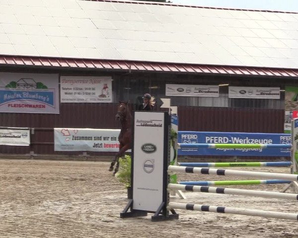 Reitturnier Marienheide - Kempershöher Reitertage 2017