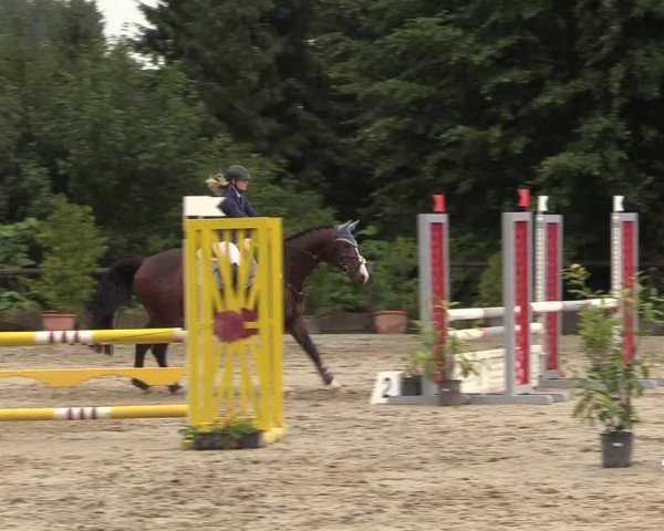Reitturnier Marienheide - Kempershöher Reitertage 2017