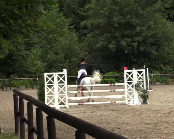 Reitturnier Marienheide - Kempershöher Reitertage 2017