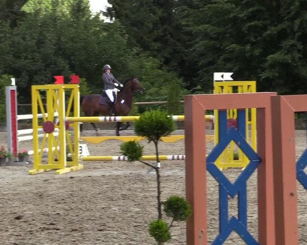 Reitturnier Marienheide - Kempershöher Reitertage 2017