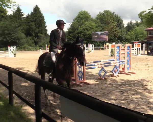 Reitturnier Marienheide - Kempershöher Reitertage 2017
