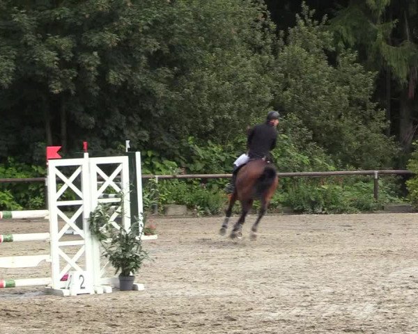 Reitturnier Marienheide - Kempershöher Reitertage 2017
