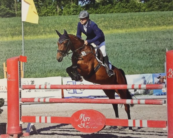 jumper Amy L'amour (Trakehner, 2010, from Vivus)