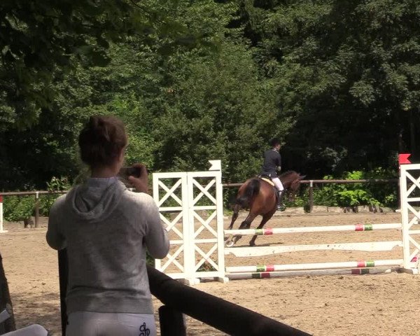 Reitturnier Marienheide - Kempershöher Reitertage 2017