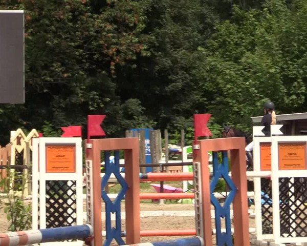 Reitturnier Marienheide - Kempershöher Reitertage 2017