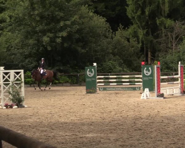 Reitturnier Marienheide - Kempershöher Reitertage 2017