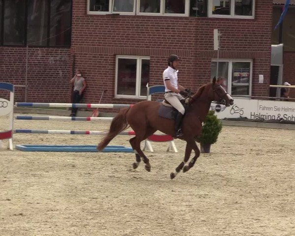 Euregioturnier Wietmarschen 2017