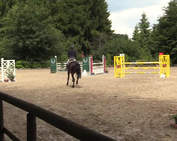 Reitturnier Marienheide - Kempershöher Reitertage 2017