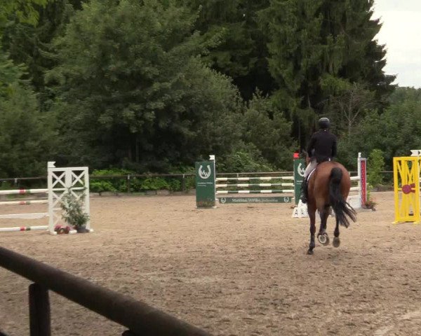 Reitturnier Marienheide - Kempershöher Reitertage 2017