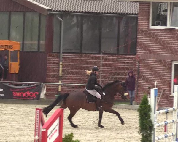 Euregioturnier Wietmarschen 2017