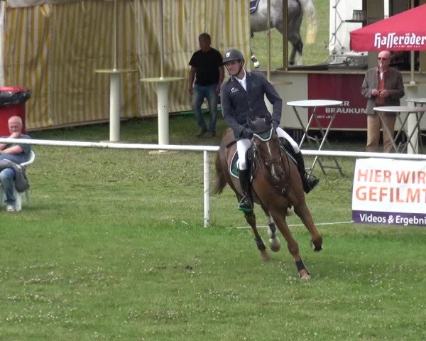Reitturnier Allrode 2017