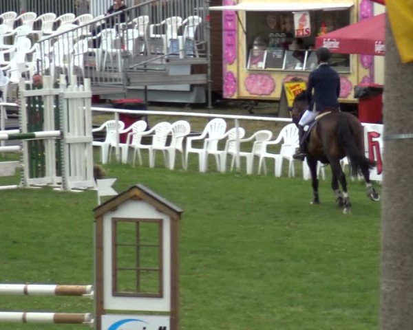 Reitturnier Allrode 2017