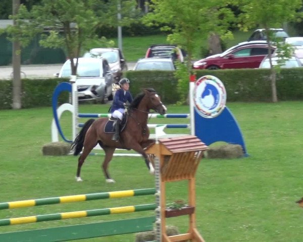 Reitturnier Allrode 2017