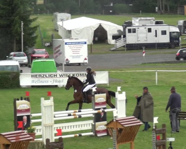 Reitturnier Allrode 2017