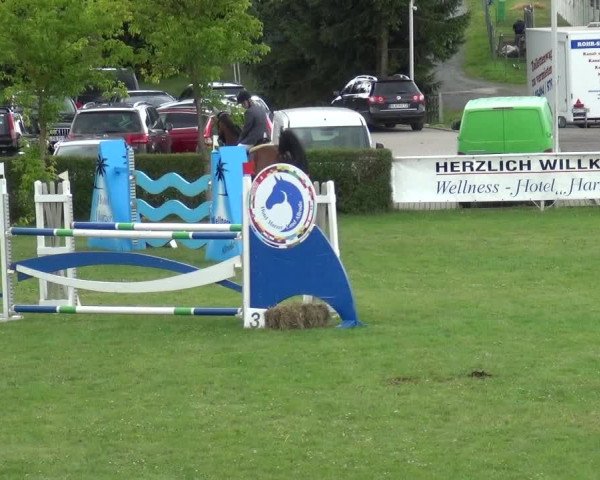 Reitturnier Allrode 2017