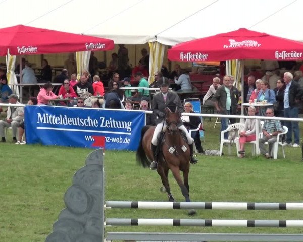 Reitturnier Allrode 2017
