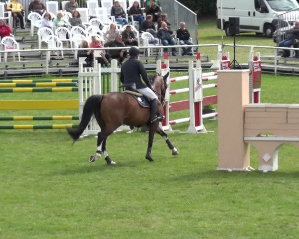 Reitturnier Allrode 2017