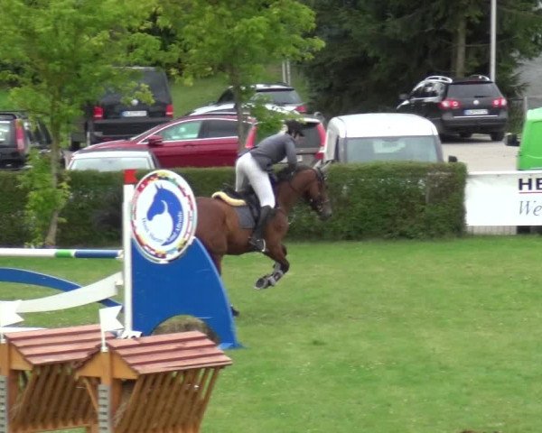 Reitturnier Allrode 2017