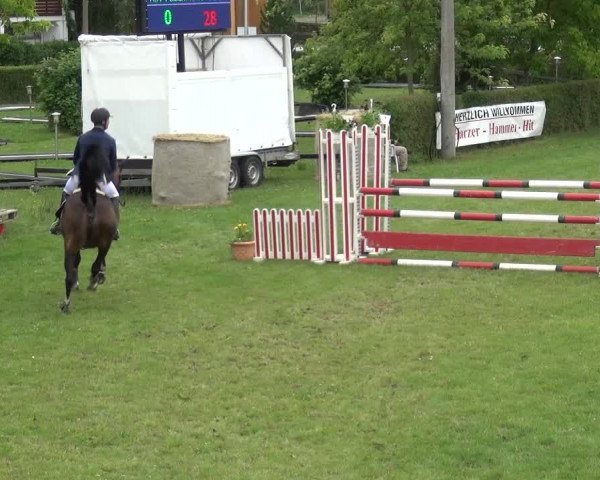 Reitturnier Allrode 2017