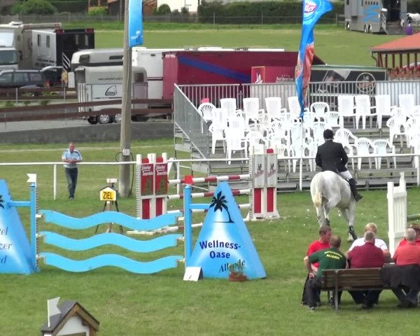 Reitturnier Allrode 2017