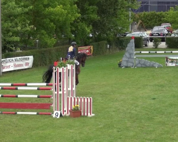 Reitturnier Allrode 2017