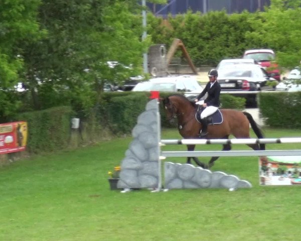 Reitturnier Allrode 2017