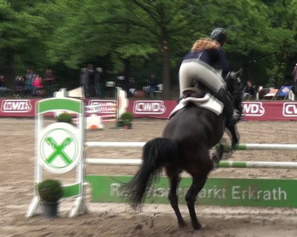 Reitturnier Erkrath-Unterfeldhaus 2017