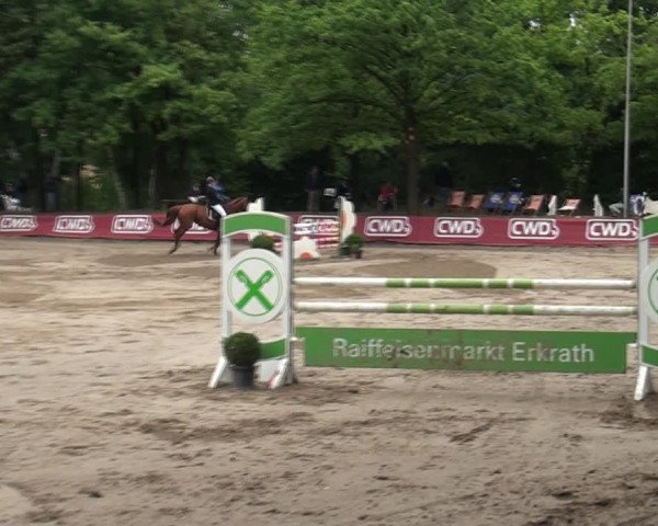 Reitturnier Erkrath-Unterfeldhaus 2017