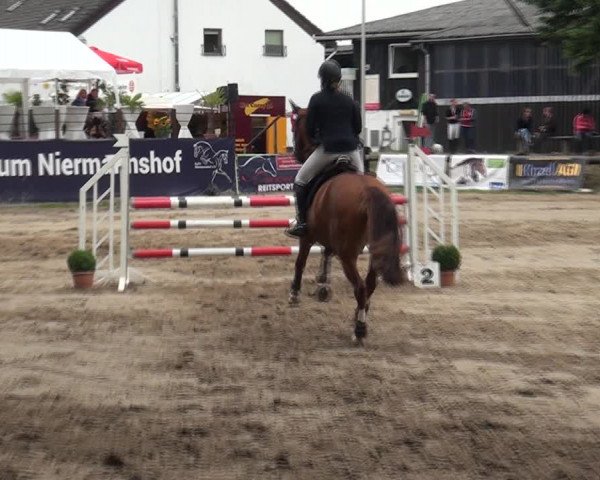 Reitturnier Erkrath-Unterfeldhaus 2017